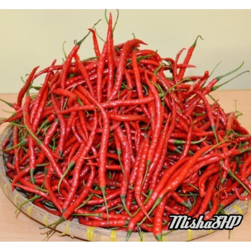 

cabai merah keriting fresh dari kebun 1 kg