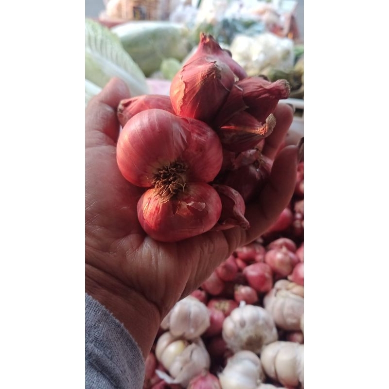 

Bawang merah 1 kg Wonogiri