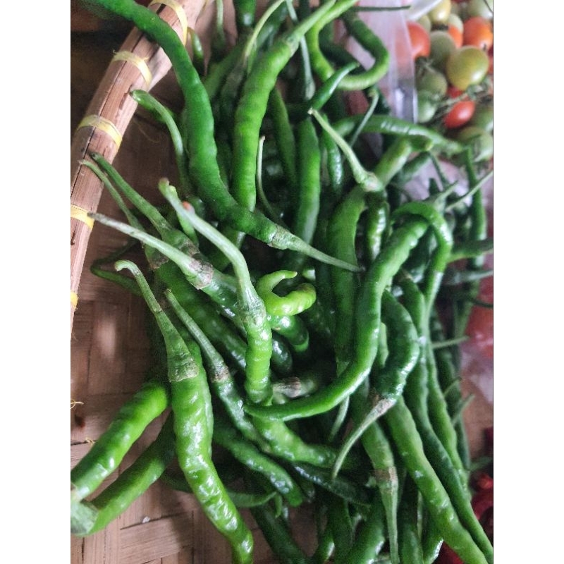 

Ready Stock Cabe Ijo /Cabe Hijau Siap Kirim