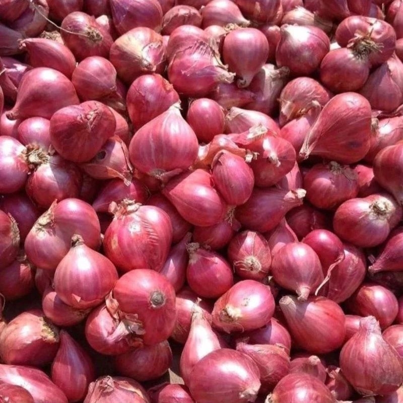 

Bawang merah Super 1kg