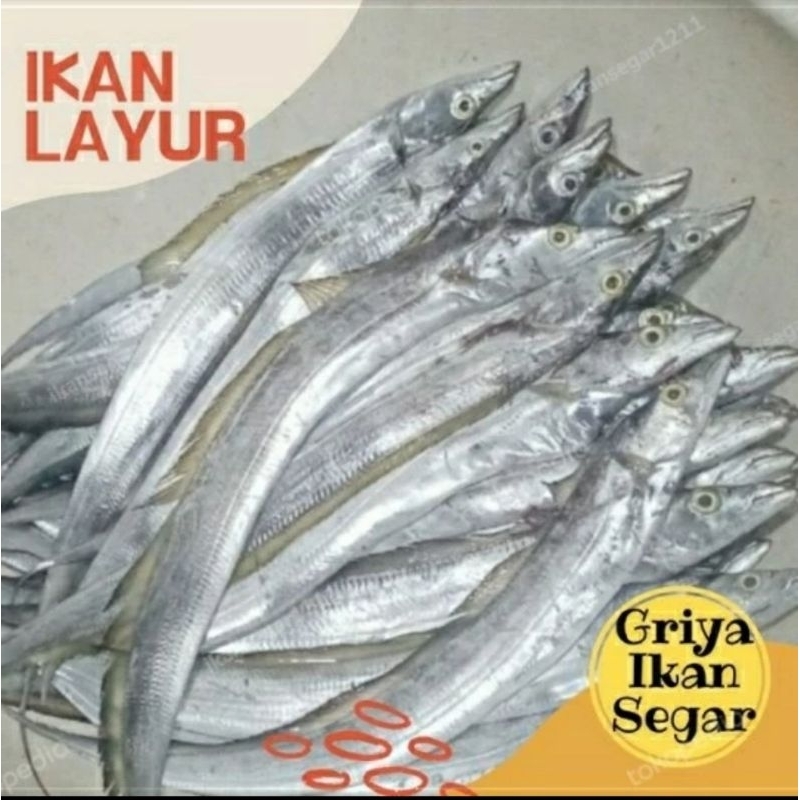 

IKAN LAYUR SEGAR 500gram