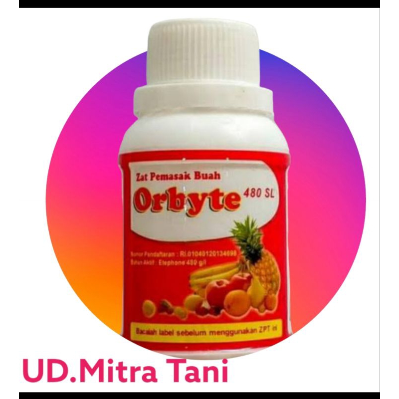 Orbit zat pemasak buah