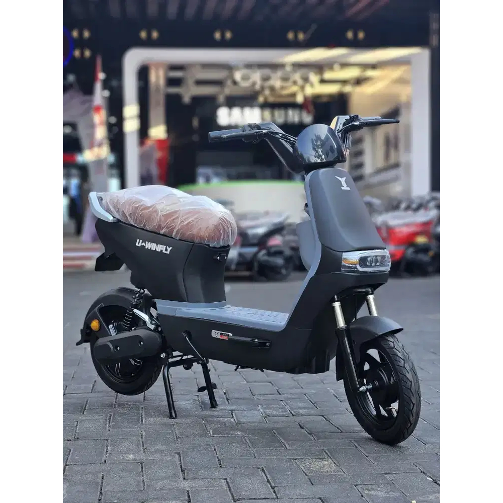 Sepeda Listrik Uwinfly D8S