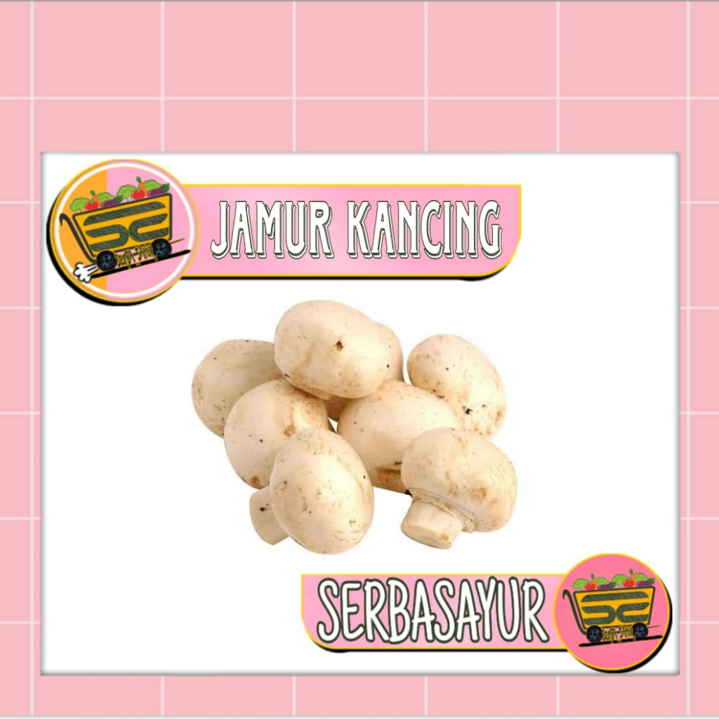 

JAMUR KANCING GROSIR - SERBASAYUR