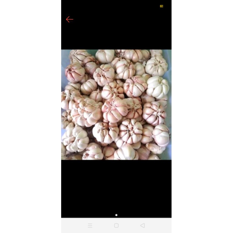 

Bawang putih 1kg Baturaja OKU live