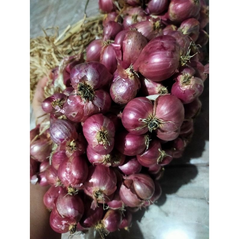 

bawang merah