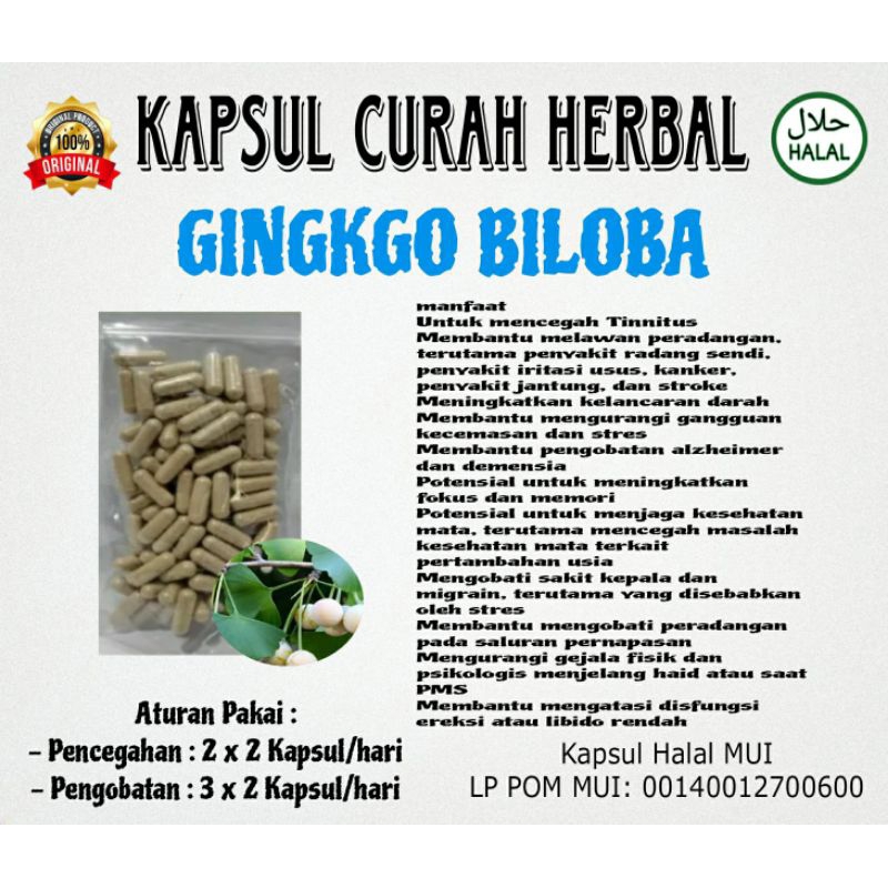 Ginkgo biloba extrak nutrisi otak cerdas isi 200