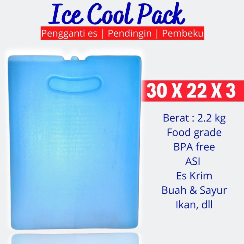 Ice Pack Jumbo Besar 22x30x3cm Botol Kosong Grade A Kualitas Premium
