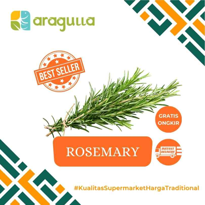 

Rosemary [Sayur - Sayuran Segar Instant / Express Surabaya] - Aragulla