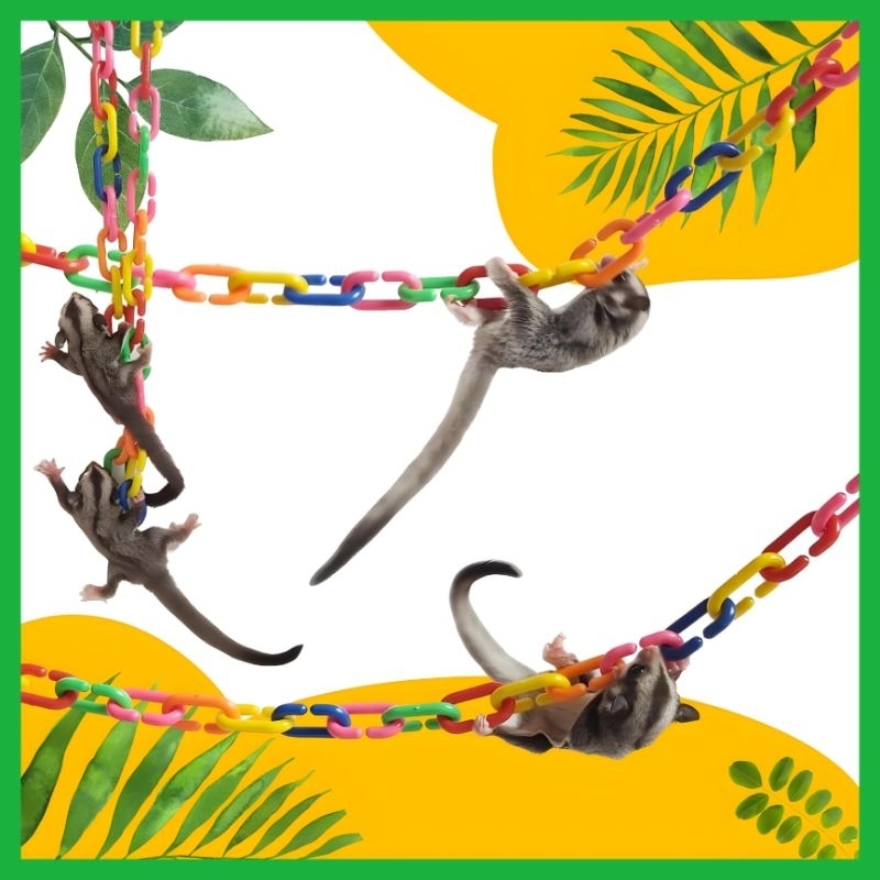 RANTAI PLASTIK 50 CM MAINAN PANJAT SUGARGLIDER &amp; BURUNG - AKSESORIS KANDANG
