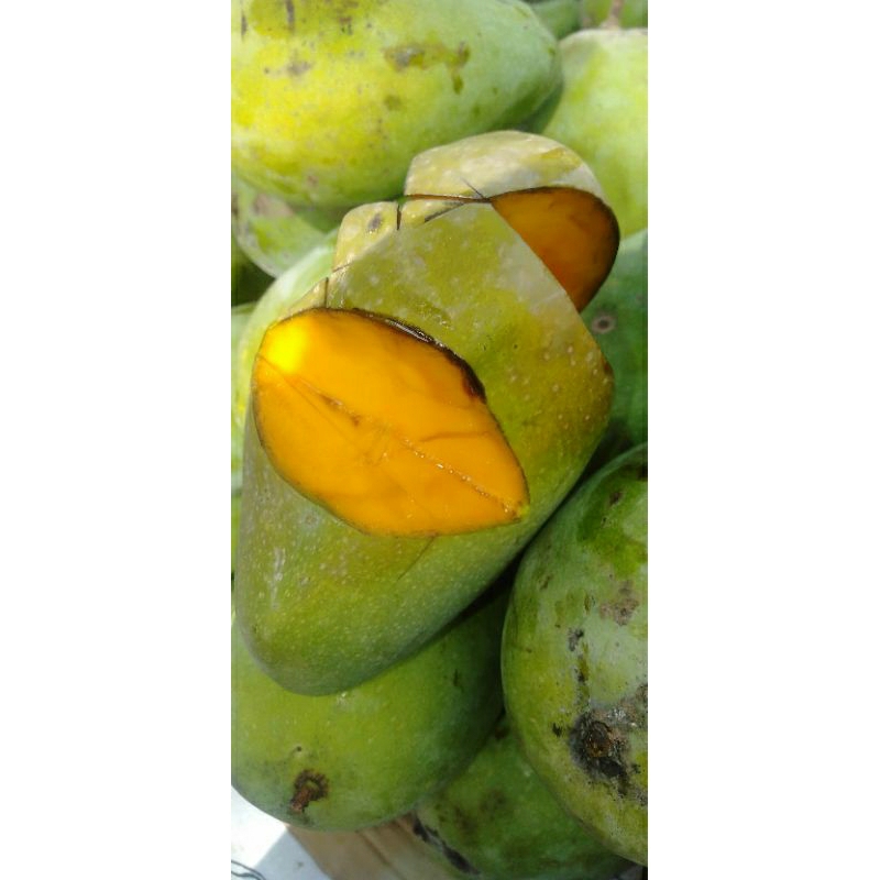 

BUAH MANGGA PAUH HARUMANIS kilogram