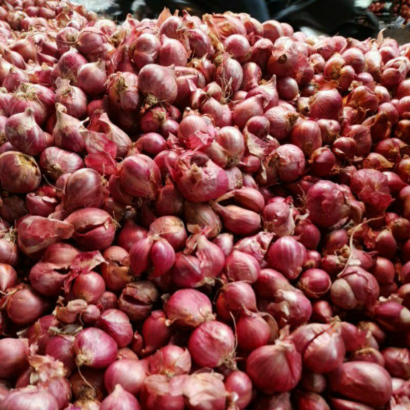 

Bawang Jawa