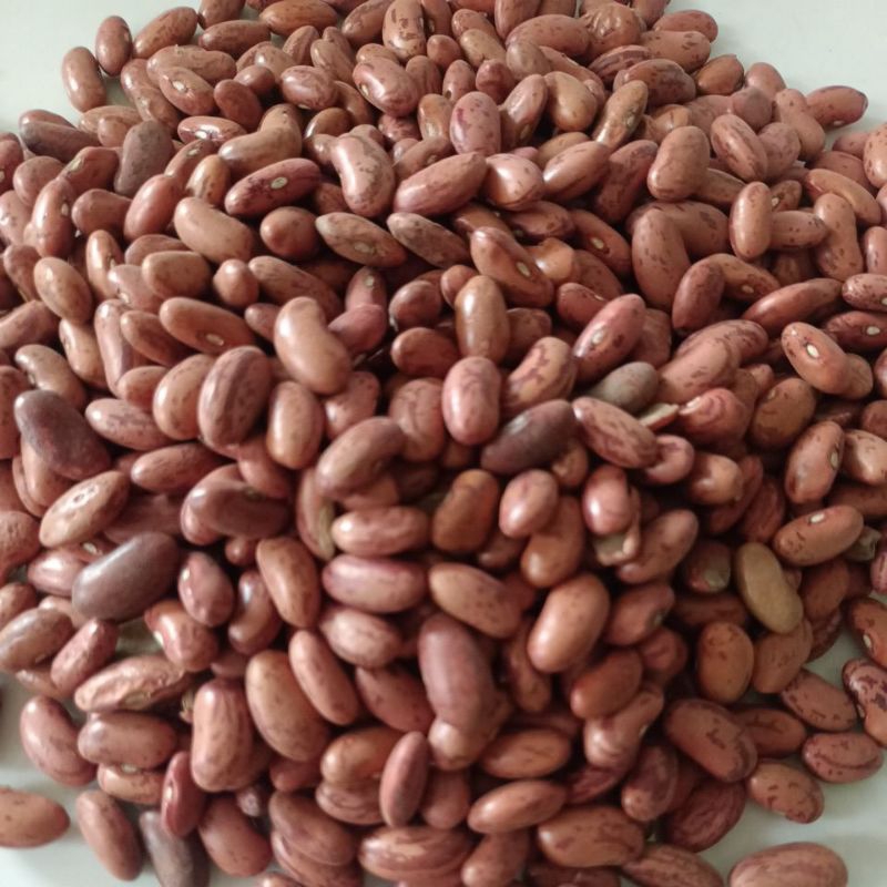 

kacang es/kacang merah 500gram