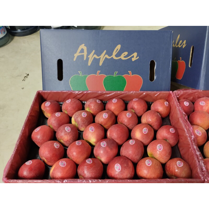 Apel Royal Gala RRC 1 Dus (17 KG) Fresh Import