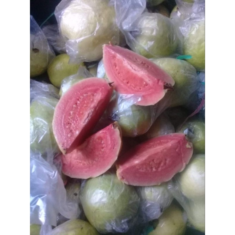 

jambu kristal atau merah