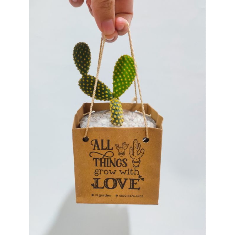 souvenir kaktus sukulen / gift kaktus sukulen