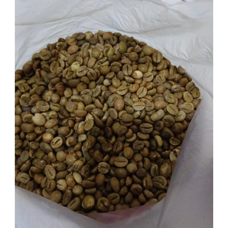 

GREENBEEN ROBUSTA LAMPUNG. KA 12-15 berat 500gram