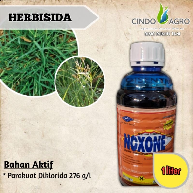 Obat Rumput NOXONE 276 SL 1liter