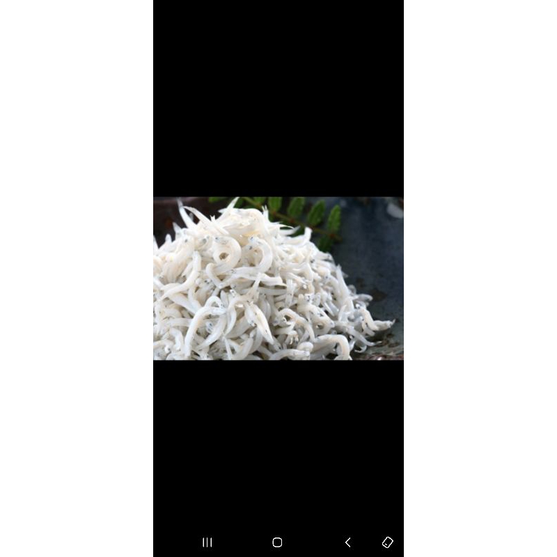 

teri nasii