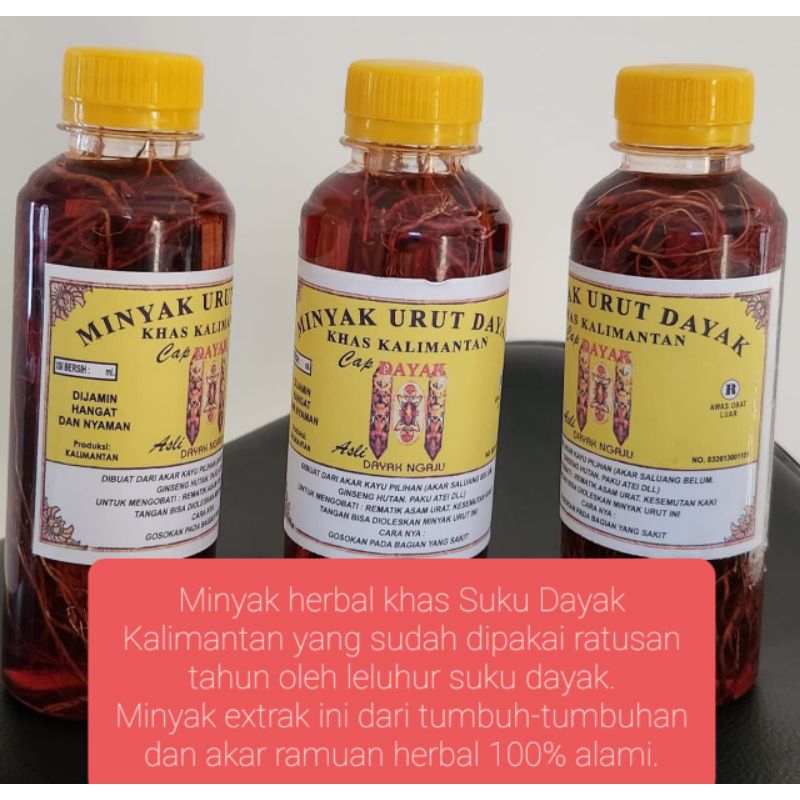 minyak urut dayak khas kalimantan