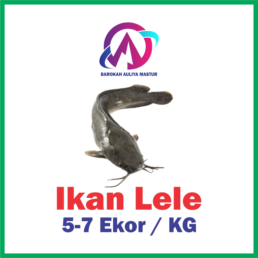 

KIRIM INSTAN IKAN LELE SEGAR (1000 GRAM) BAM Olshop Padang