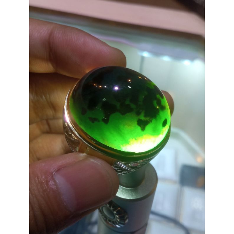 Bacan coklat istimewa