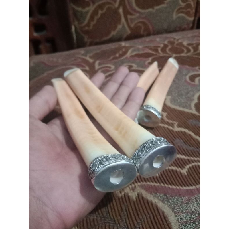 aksesoris sedotan once taring duyung asli natural 14 cm