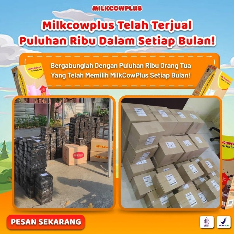 

New // (Promo! Isi 2) Milkcowplus Paket 1 Kg Susu Gemuk Badan Anak Dewasa Susu Penggemuk Badan Anak