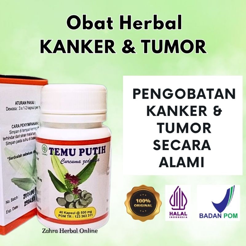 Kapsul Temu Putih Herbal Kanker Obat Kanker Temuputih Herbal Insani