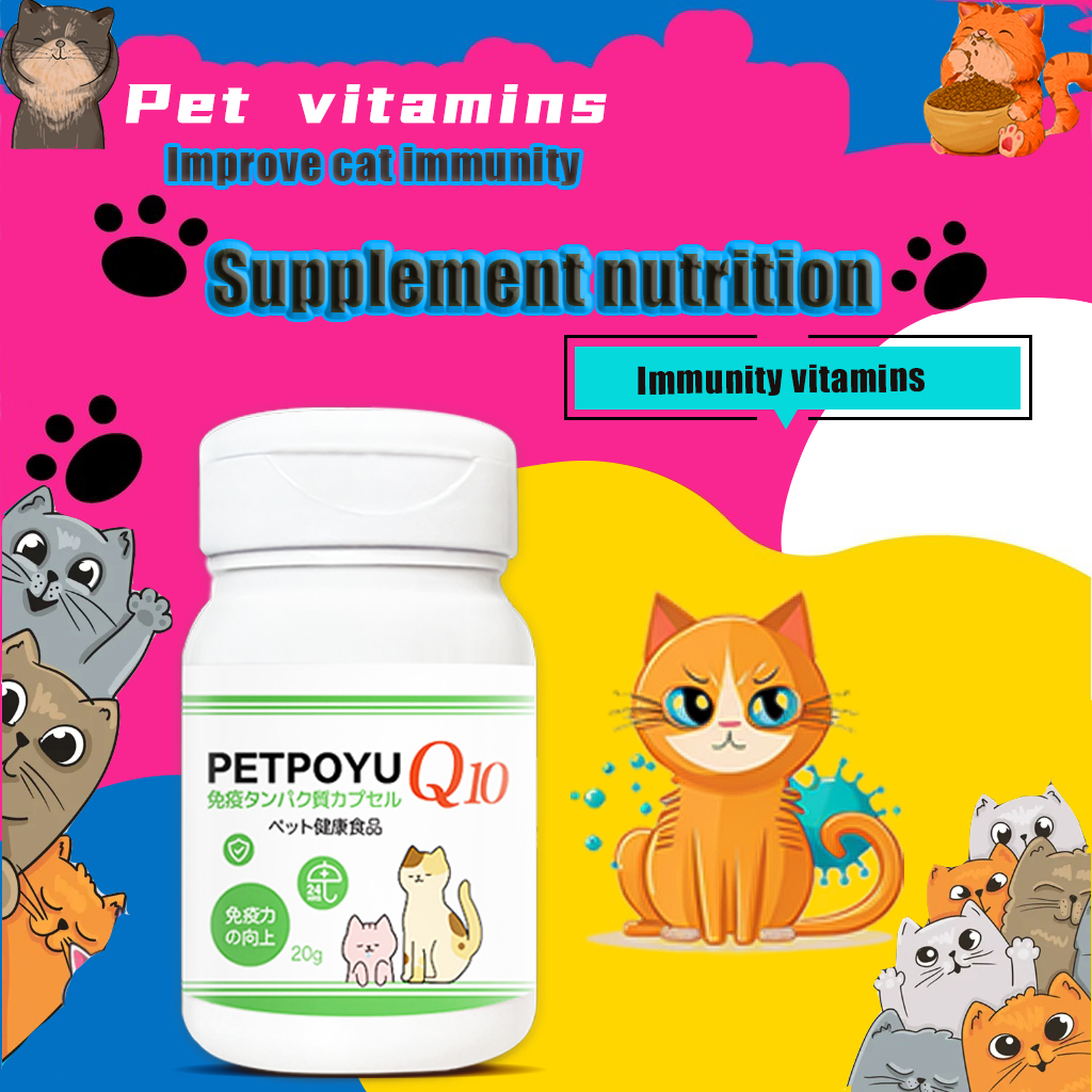 vitamin hewan peliharaan Kapsul Protein1kapsul Kekebalan Tubuh Meningkatkan kekebalan hewan pelihara