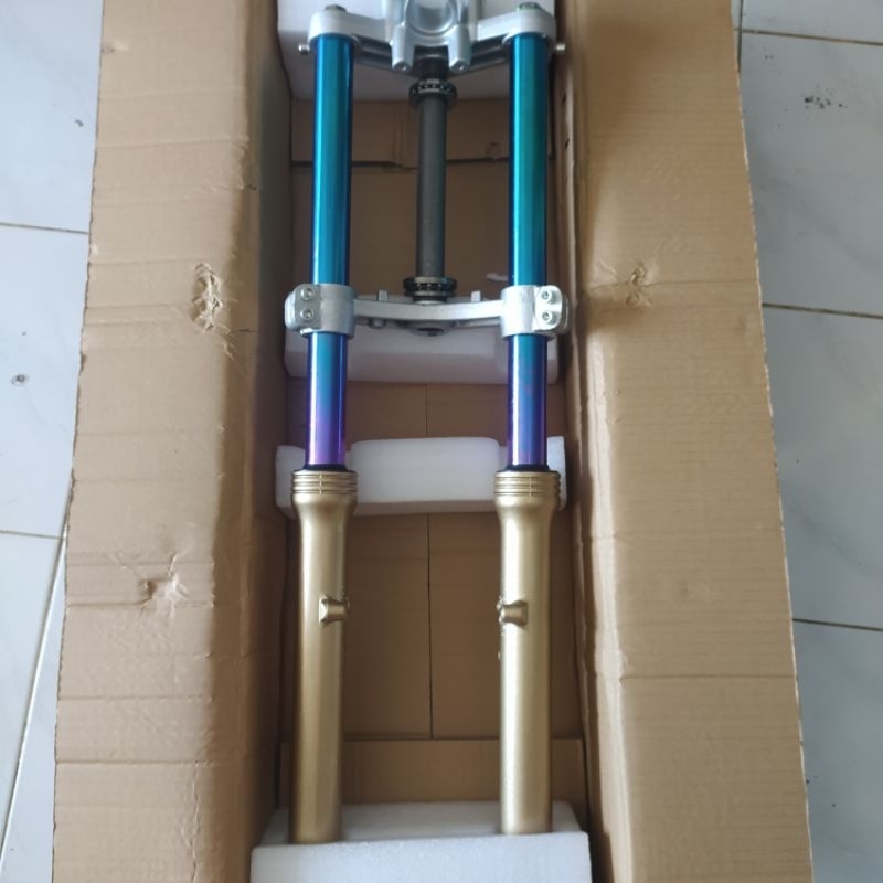 shock ninja rr as rainbow pnp rx king