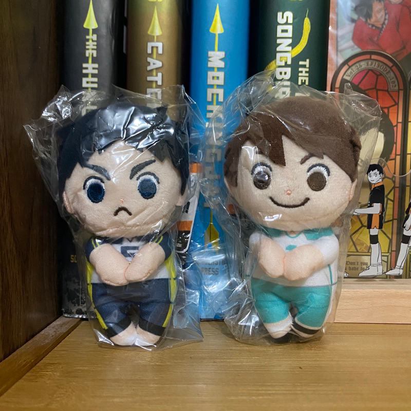 Chokkori-San Plush Haikyuu Akaashi Oikawa