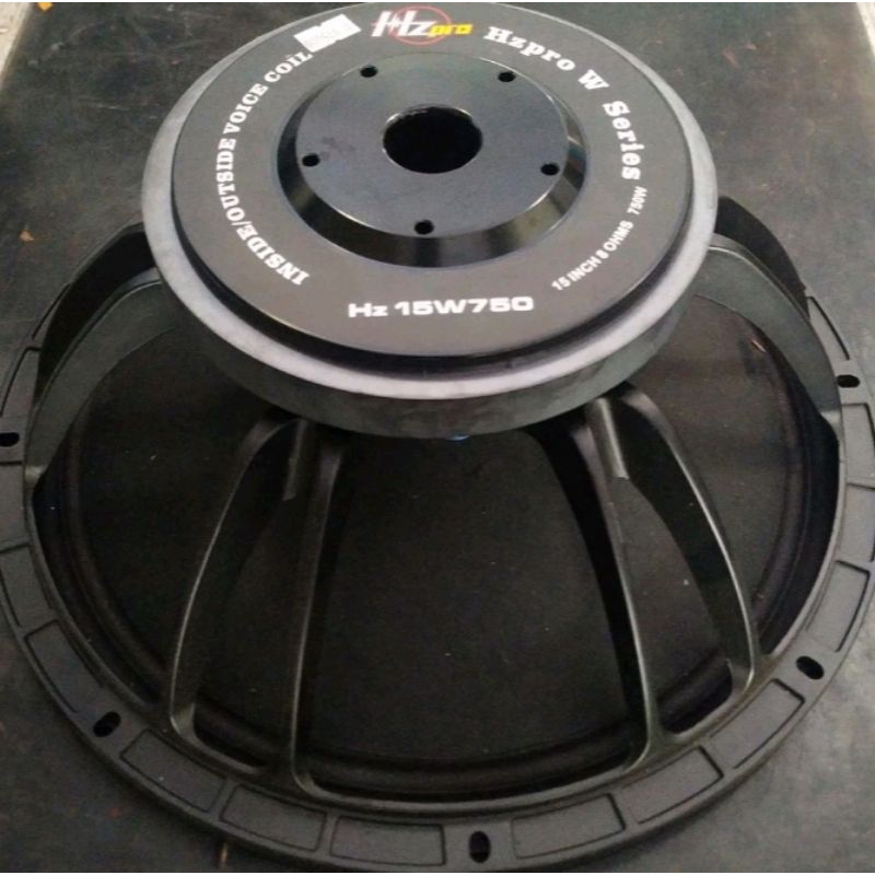 Speaker 15inch Hzpro 15W750 oryginal