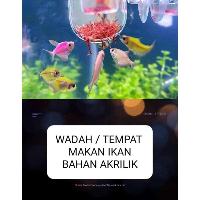 WADAH CASUT CACING TEMPAT MAKAN IKAN WADAH PAKAN IKAN AKRILIK