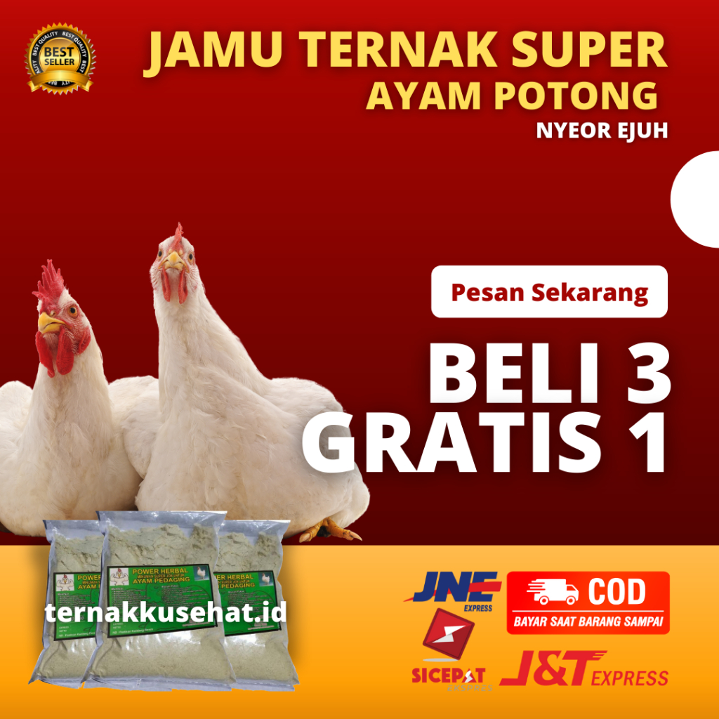 (BISA COD) Jamu Ayam Bangkok Broiler Jantan Kampung Potong Penggemuk Penambah Berat Badan Vitamin