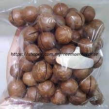 

Kacang macadamia kulit 500gram / roasted macadamia / macadamia bonus alat pembukanya