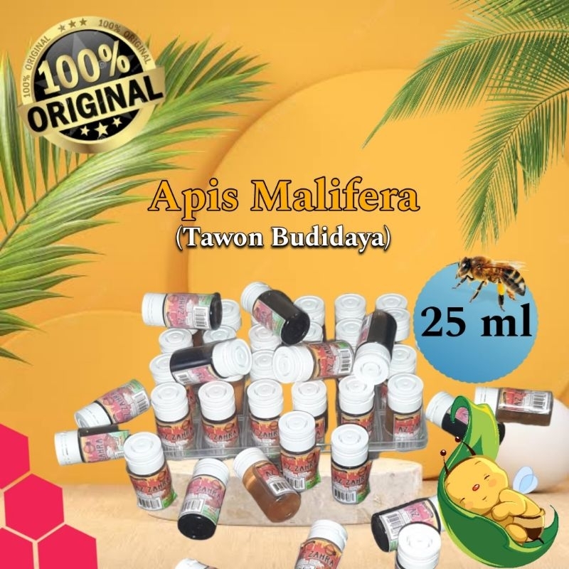 

APIS MALIFERA 25 ML