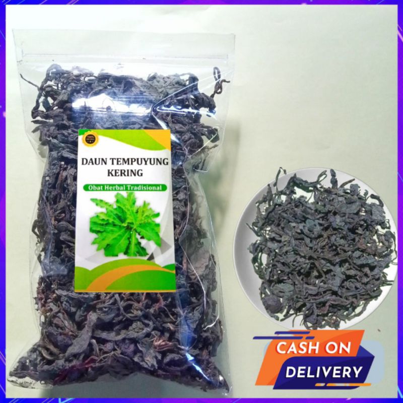 

Daun Tempuyung Kering 50 gr