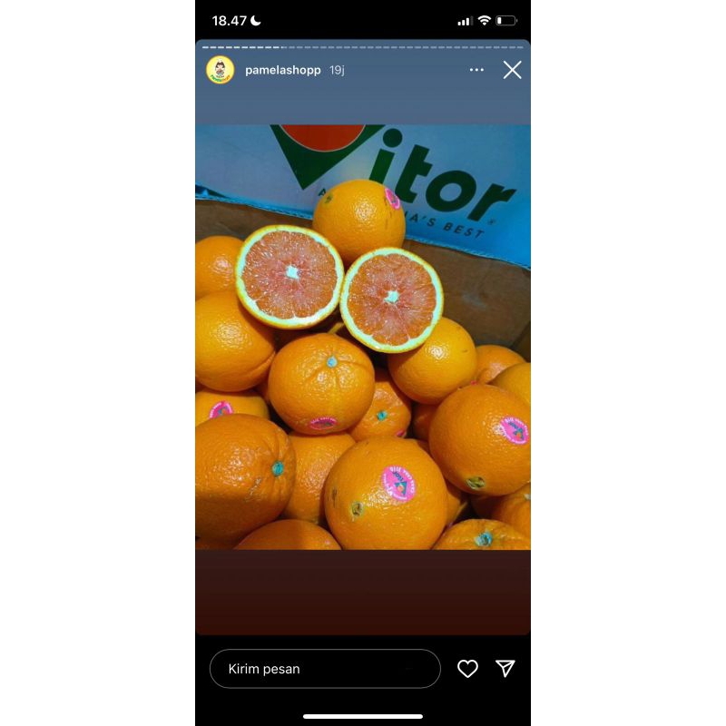 

SUNKIST PAKET RESELLER