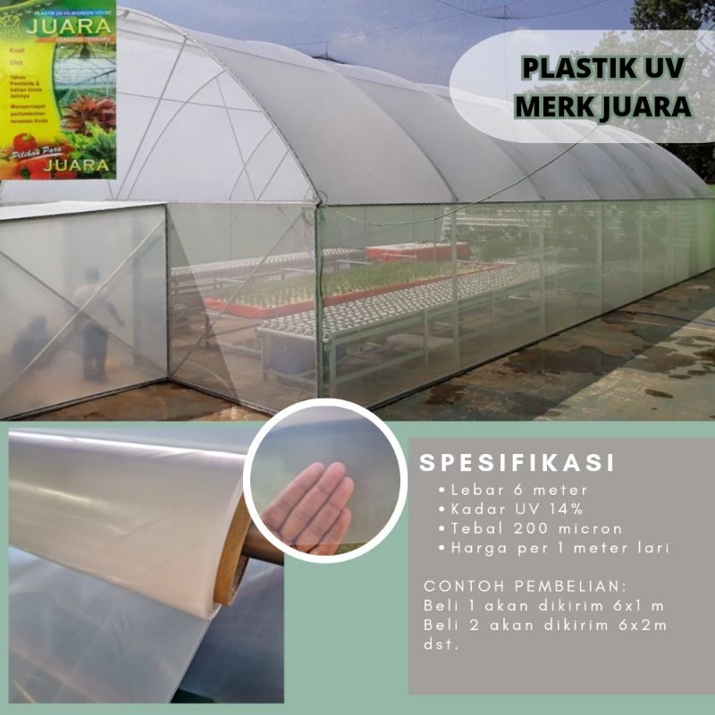 Plastik UV Film / Plastik Green house lebar 6 m tebal 200 micron Merk Juara