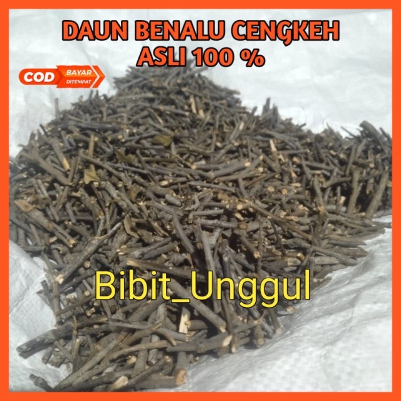 

Benalu Cengkeh Asli 100 gram