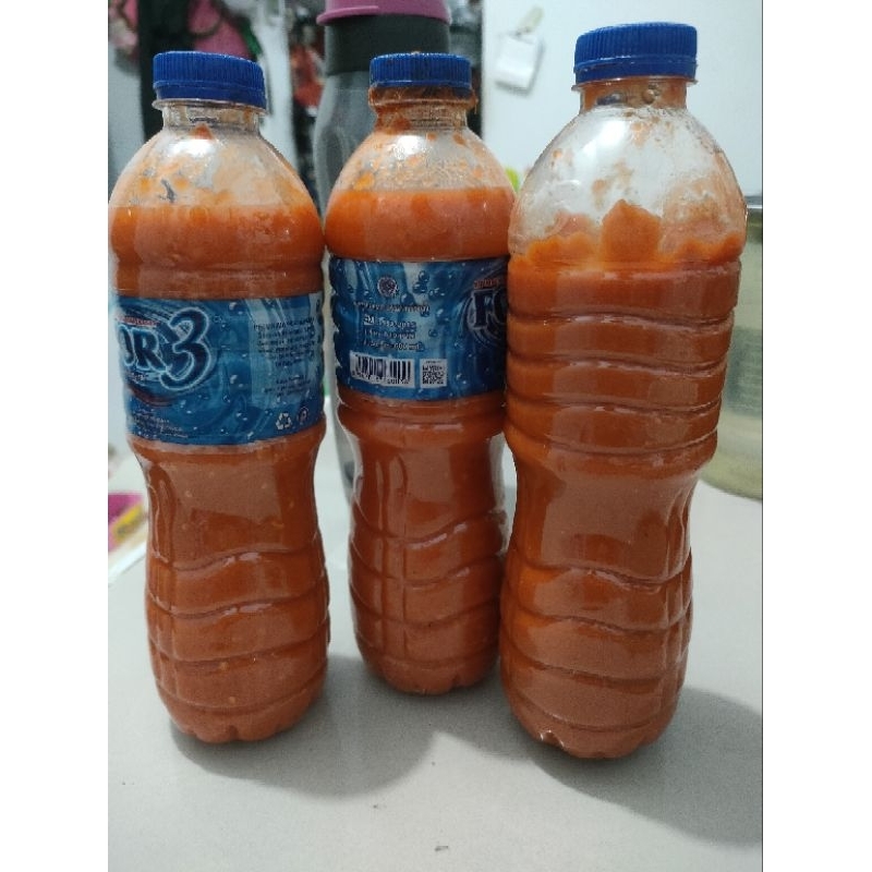 

samciau cong asli kalimantan