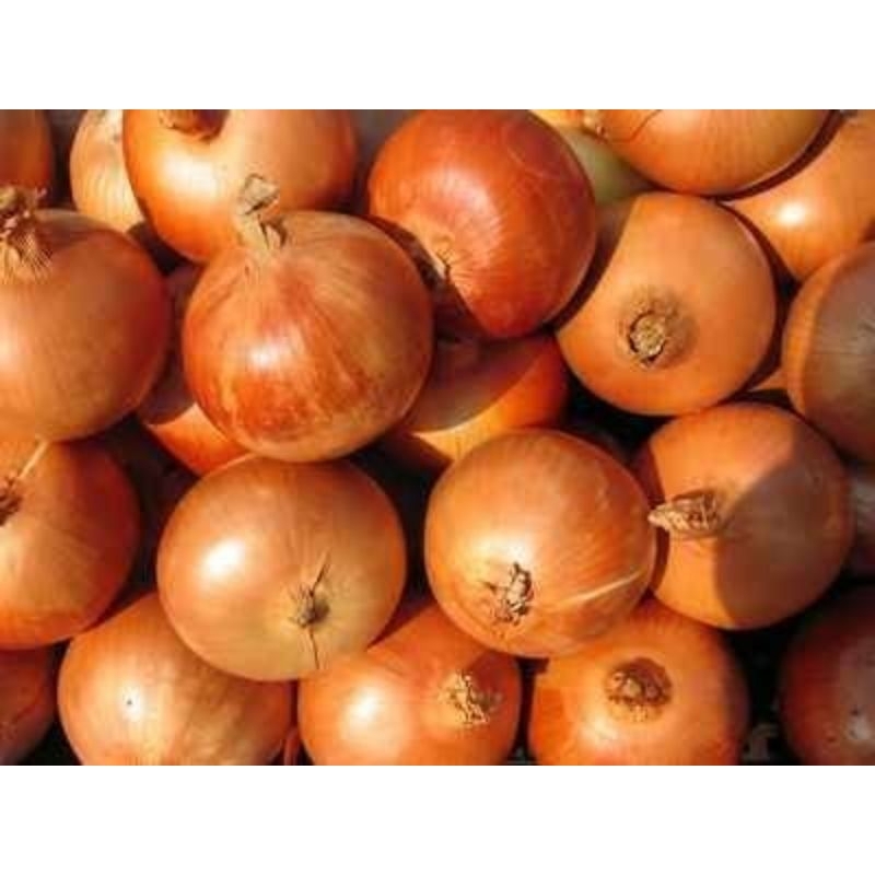 

Bawang Bombay Fresh