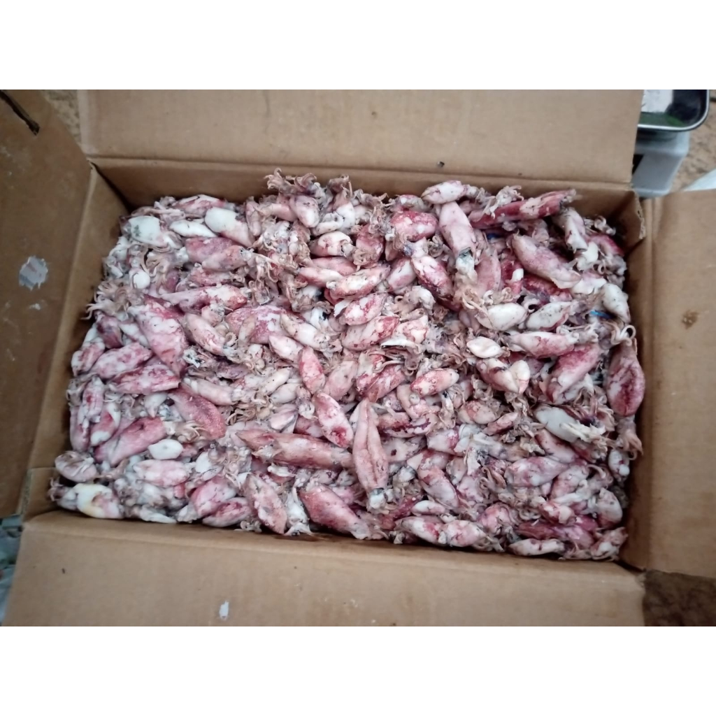 

cumi asin frozen