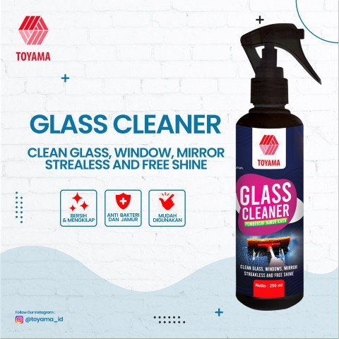 GLASS CLEANER 250 ML