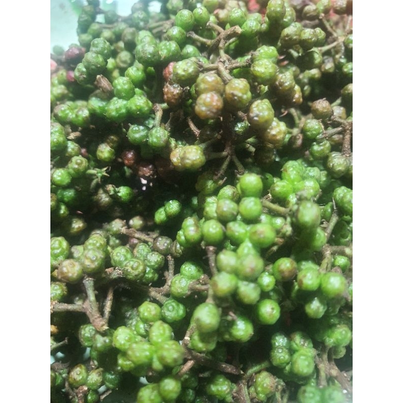 

andaliman 1kg