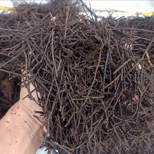 Media Tanam siap pakai Akar Pakis Cacah Karungan Media Tanam Anggrek