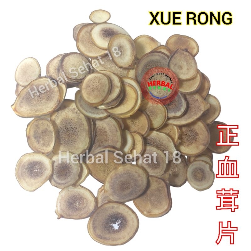 

Xue Lu Rong 10 gram - Beludru Darah Produk Asli Tanduk Rusa Darah Deer Velvet Slice - Premium Grade