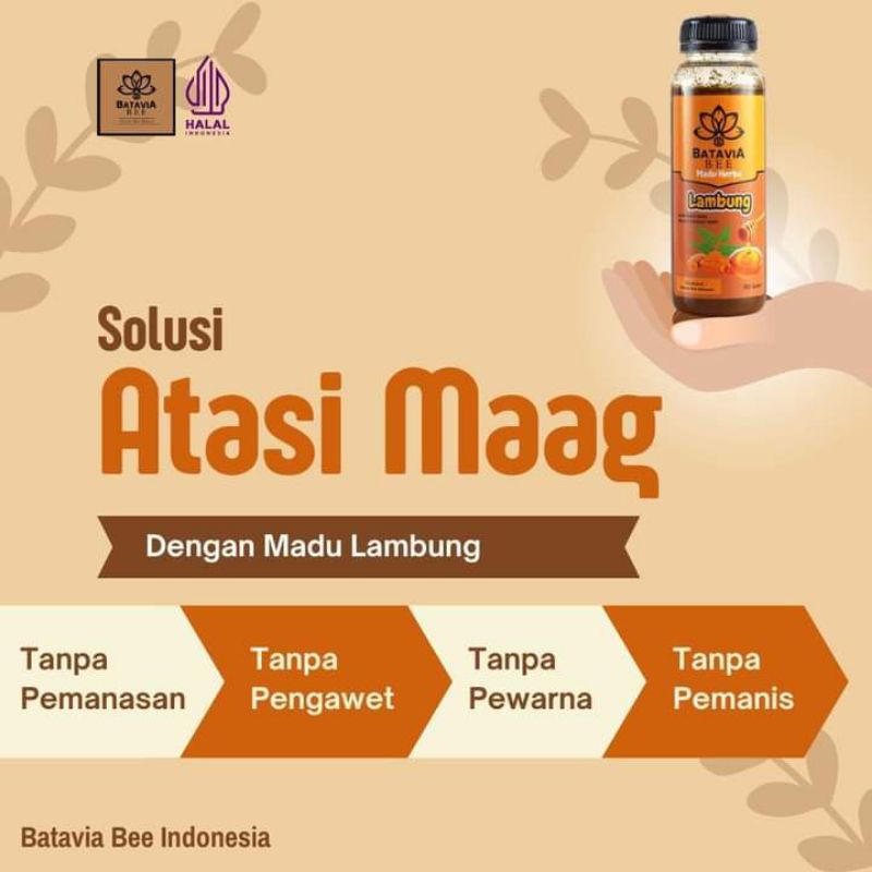 

madu lambung batavia bee