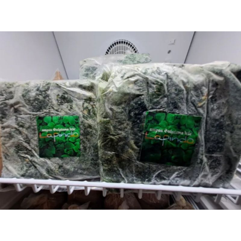 Umpan Lapindo 300gr/umpan Galatama lele/umpan gacor